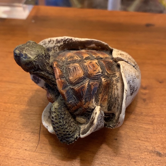 Vintage-EUC. Sea Turtle Hatching 1989 Castagna. Made in Italy - Picture 7 of 9